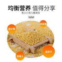 東北五谷雜糧大黃米400g袋裝有機(jī)黃粘糯小米黍米廠(chǎng)家批發(fā)粽子米