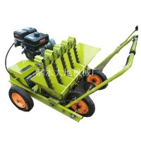 手推大蒜播種機(jī)廠家直銷(xiāo) 汽油自走式大蒜播種機(jī) 5行不傷蒜播種機(jī)
