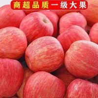 產地直發(fā)富平柿餅500克吊餅甜如蜜休閑零食干果蜜餞爆漿吊餅批發(fā)