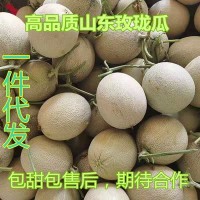 山東玫瓏瓜網紋瓜哈密瓜新鮮當季孕婦水果純甜現摘包郵一件代發(fā)