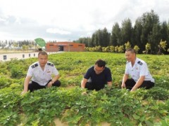 服務三農(nóng) 汕尾稅務多管齊下推廣農(nóng)業(yè)稅惠政策