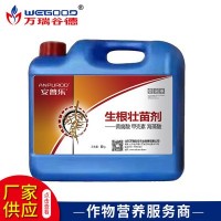 廠家批發(fā) 植物生長(zhǎng)調(diào)節(jié)劑 保花保膨果安普樂生根壯苗劑 現(xiàn)貨批發(fā)