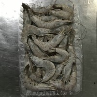 加工南美白對蝦，冷凍南美白對蝦，唐山南美白對蝦，天津南美蝦