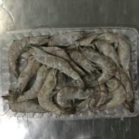 冷凍南美白對蝦，加工南美白對蝦，河北南美白對蝦，唐山南美對蝦