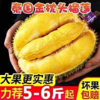 代發(fā)>A級(jí)泰國(guó)進(jìn)口新鮮金枕頭榴蓮當(dāng)季水果巴掌帶殼整個(gè)榴蓮批發(fā)