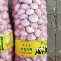 大蒜公司，源頭工廠供應金鄉(xiāng)出口大蒜，超市大蒜